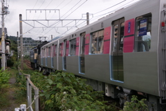 甲種