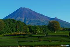 秋の富士山