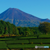 秋の富士山