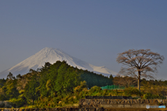 ＨＤＲ富士山