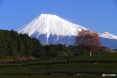 2019年大晦日