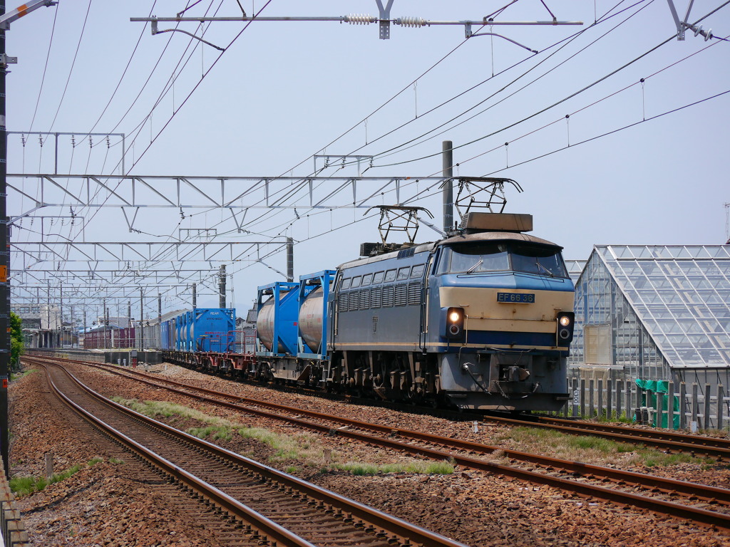 EF66-36