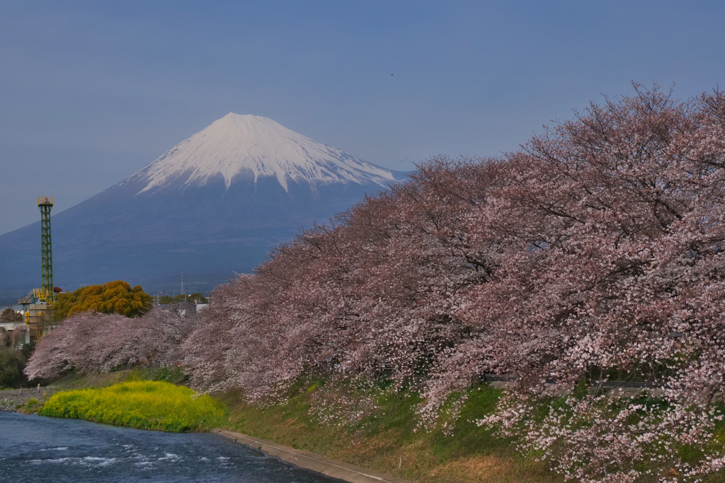 龍巌淵の春