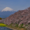 龍巌淵の春
