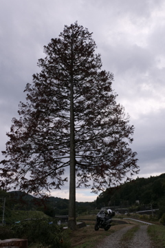 P1045698