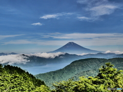 夏の大観山