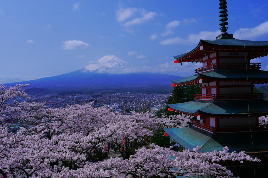 ２０１６年の新倉山浅間神社