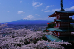 ２０１６年の新倉山浅間神社