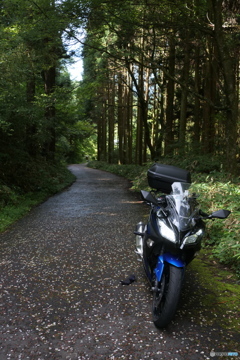中山道馬籠峠