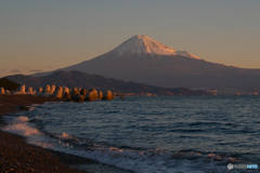 三保から新年の富士山