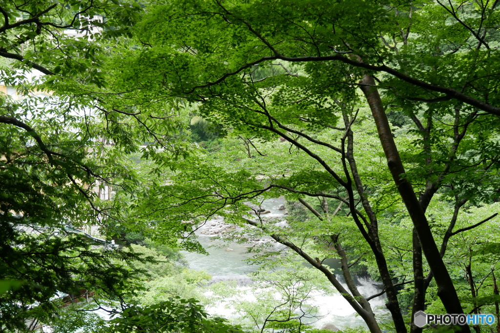 P1060586