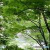 P1060586