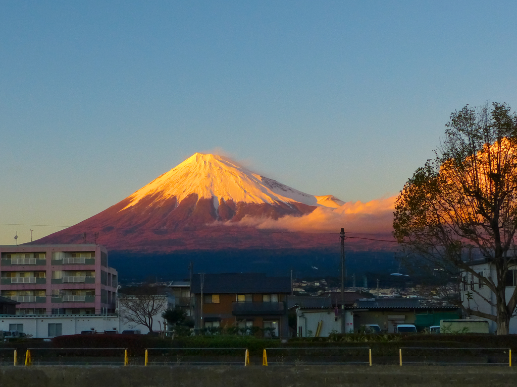 紅富士