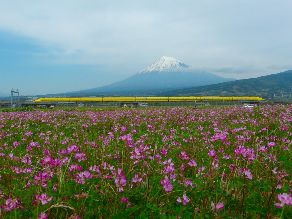 富士とレンゲとDYと・・