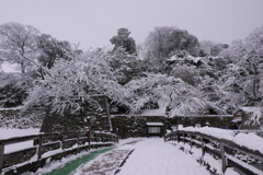 雪の彦根城