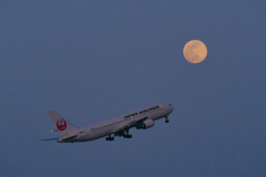 満月の羽田空港