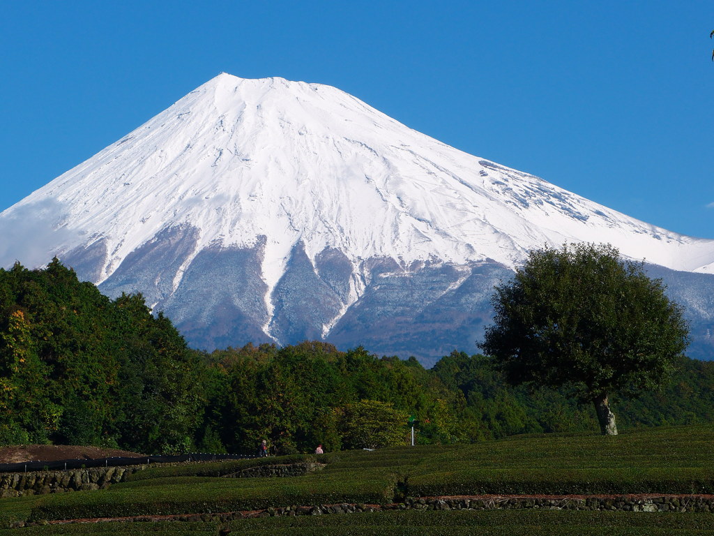 今シーズン最高の富士山
