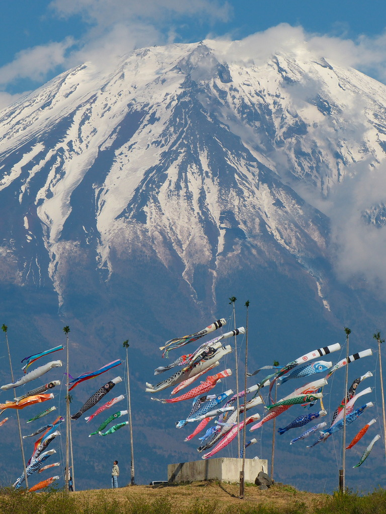 富士山　鯉のぼり