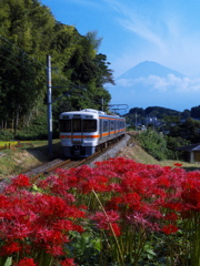 彼岸花に身延線そして富士山