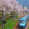 2024山北駅の春