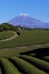 11.15の富士山