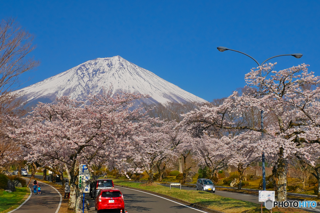 富士桜墓地
