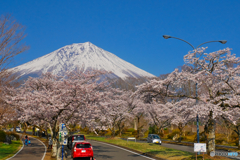 富士桜墓地