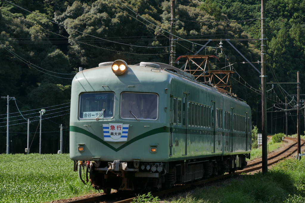 旧南海電車　急行奥大井