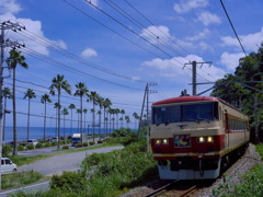 185系踊り子号　あまぎ色