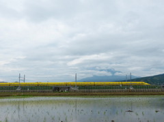 富士山とドクターイエロー