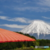 P1170973