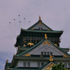 大阪にブルーインパルス