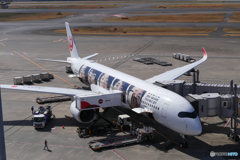 羽田空港　A350
