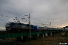 西武鉄道ラビュー甲種