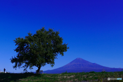 ジョギング　富士山