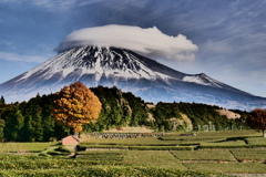 傘雲　富士山