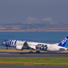 羽田空港　　　JA873A 　 B787
