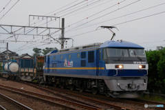 EF210-317