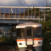 急行 いちかわみさと号