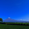 柿と富士山