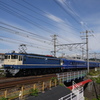 ブルトレ親子体験号　EF65-1115