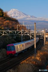 甲種