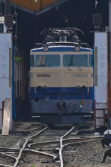 ED31-4