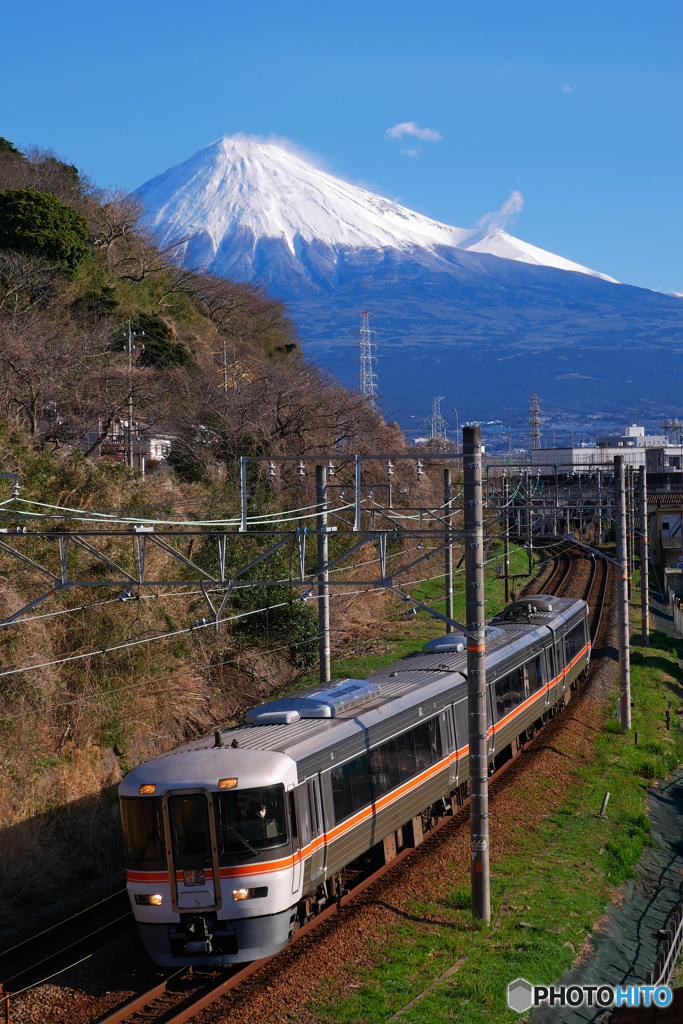 373系　ホームライナー　富士山バック