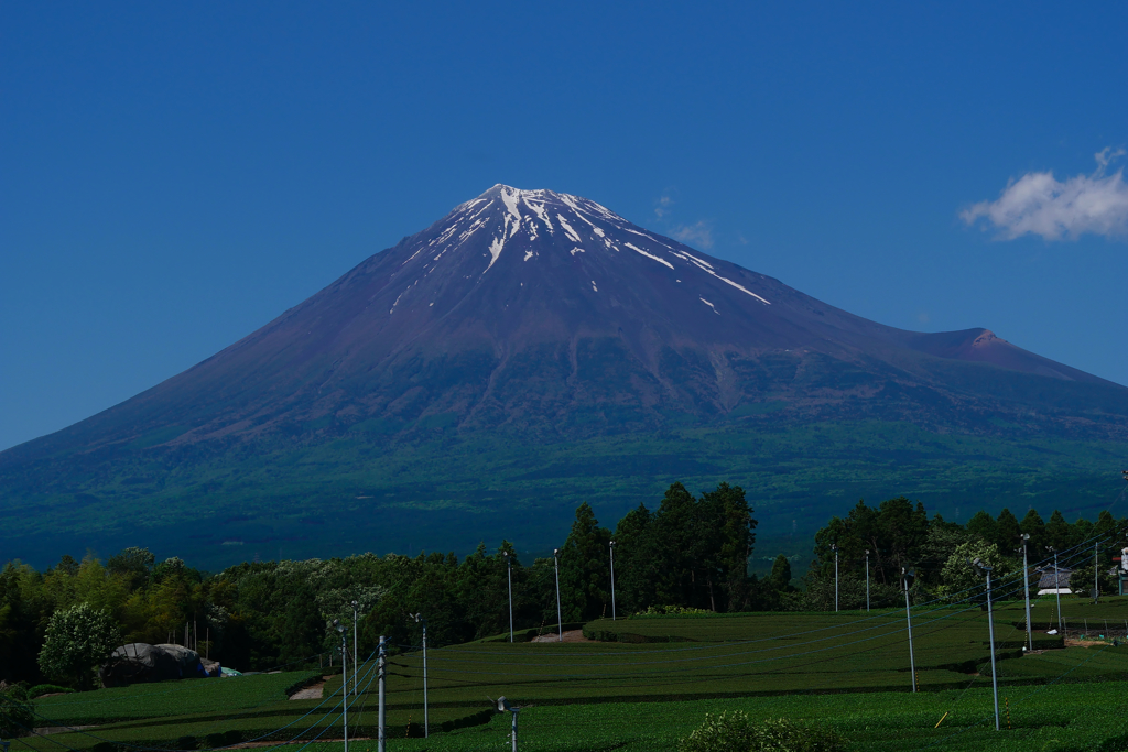 6月の富士山