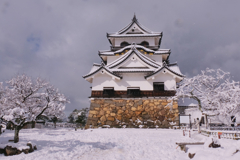 雪の彦根城