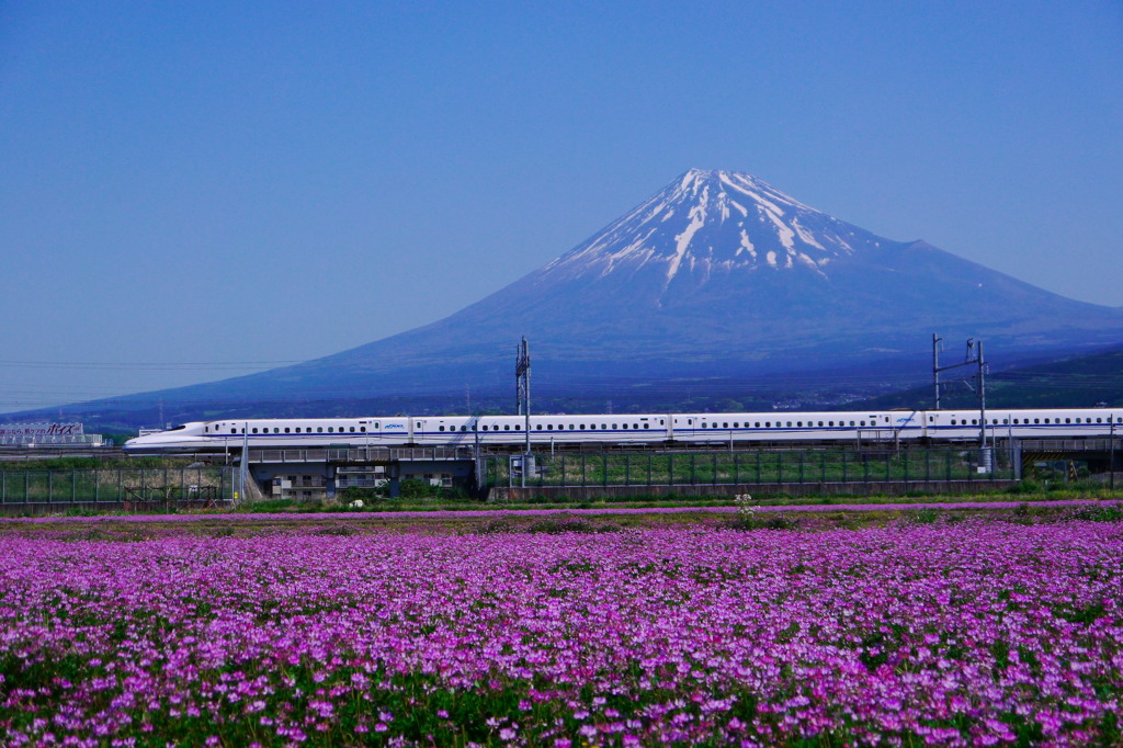 レンゲとＮ７００系