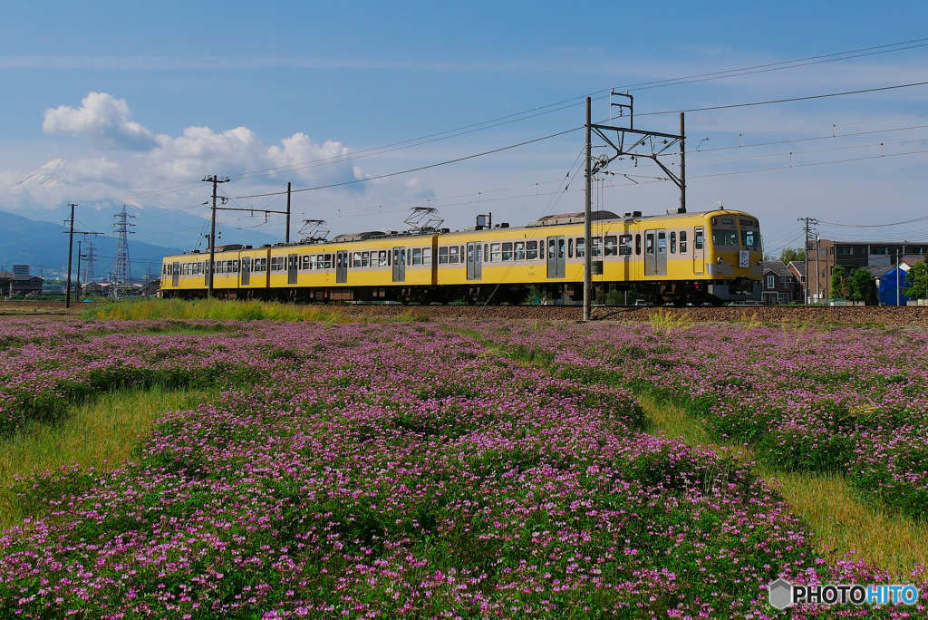 P1180080-1