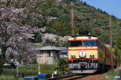 E34　さくら