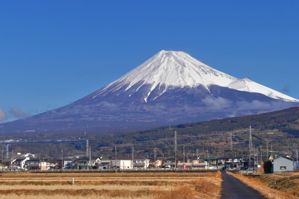 富士山